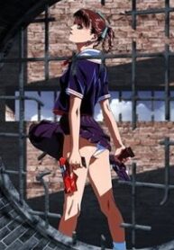 A Kite