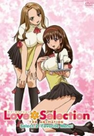 Love Selection