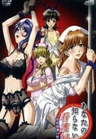 Anata no Shiranai Kangofu