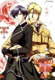 Hyakujitsu no Bara