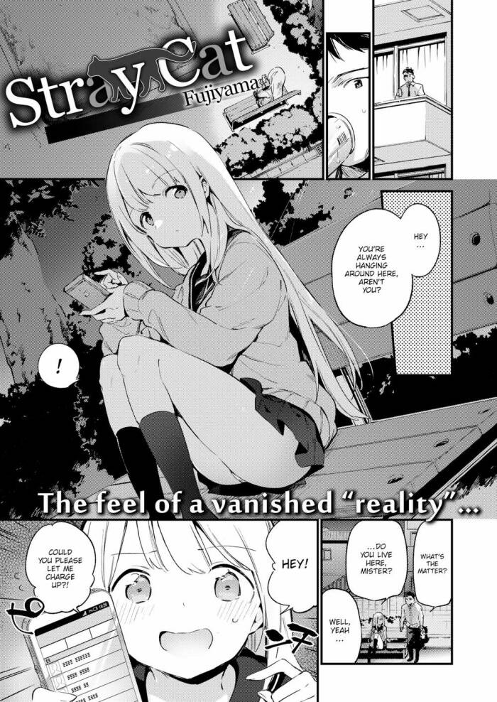 [Fujiyama] Stray Cat