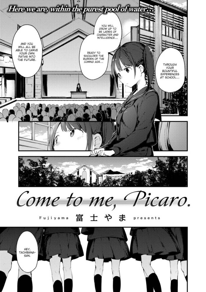 [Fujiyama] Come to Me, Picaro