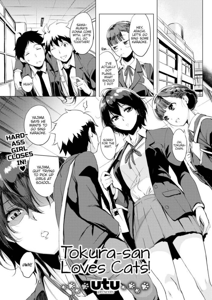 [utu] Tokura-san Loves Cats!