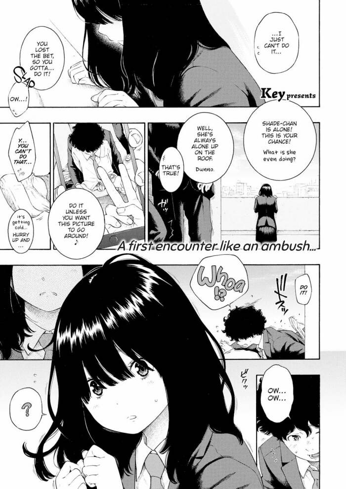 [Key] Poem of a Shade