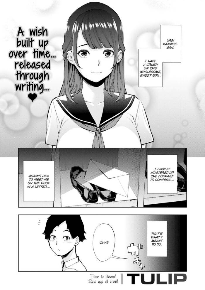 [Tulip] Black Sheep & White Sheep