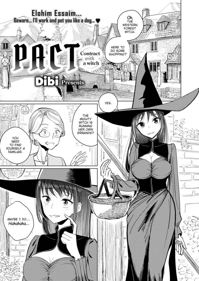 [Dibi] Pact