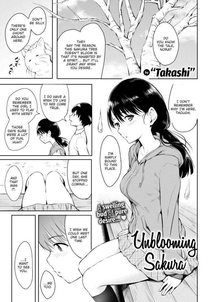 [Takashi] Unblooming Sakura
