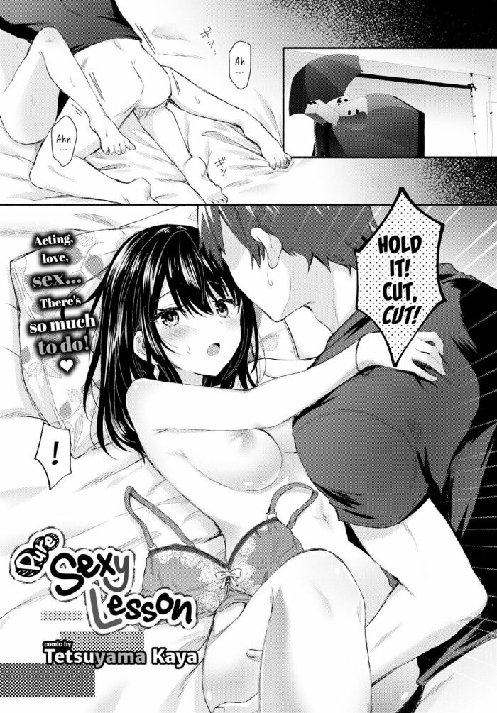 [Tetsuyama Kaya] Pure Sexy Lesson