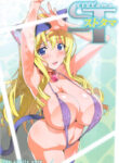 (C84) [Shinjugai (Takeda Hiromitsu)] Sutotama (IS ) [English] {doujin-moe.us}