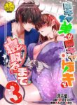 [Toko-ya (HEIZO, Kitoen)] InCha Otouto ga YouCha Aneki o Netoru made 3 [English] {Mant} [Digital]