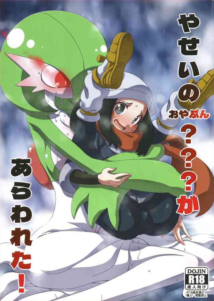 (C101) [Hanya Yashiki (Hanya)] Yasei no Oyabun Sirnight ga Arawareta! (Pokémon) [English]