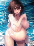 (C102) [Flicker10 (Kuronyan)] Natsu No Owari [English]