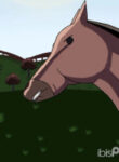 Wednesday and horse