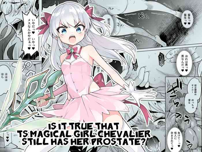 [I'm moralist (Yanagihara Mitsuki, InuSamrai, Kanimura Ebio)] TS Mahou Shoujo Chevalier-chan no Omanko wa Zenritsusen ga Nokotte iru kara Kitsukute Binkan tte Maji desu ka! | Is it true that TS Magical Girl Chevalier still has her Prostate? [English][GTF]