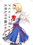 [pikuchi-ya (Piro)] Alice Margatroid ni Daiji na Tokoro o Kerareru Hon (Touhou Project) [English] [mysterymeat3] [Digital]