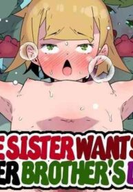 [Mobumomumomu] Imouto-chan wa Onii to Sex Shite Mitai!! | Little Sister Wants to Try her Brother's Dick!! [English] [Iulius]