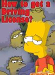 How to get a Driving License ? (The Simpsons) [Comics-Toons]