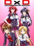 Subjugation Before Liberation (High School DxD) [Palcomix]