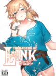 (C102) [Ash wing (Makuro)] Konran Yuusha | The Legend of Link: Skyward "Sword" (The Legend of Zelda: Breath of the Wild) [English] [Pub Faggots]