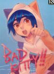 [SHISHKABERRY (Dappo)] Bad Kitty!! (Big Hero 6) [English] {Chin²}
