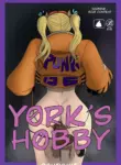 York’s Hobby (shiyumi)