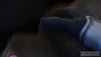 Sexpedition 34 Episode 1