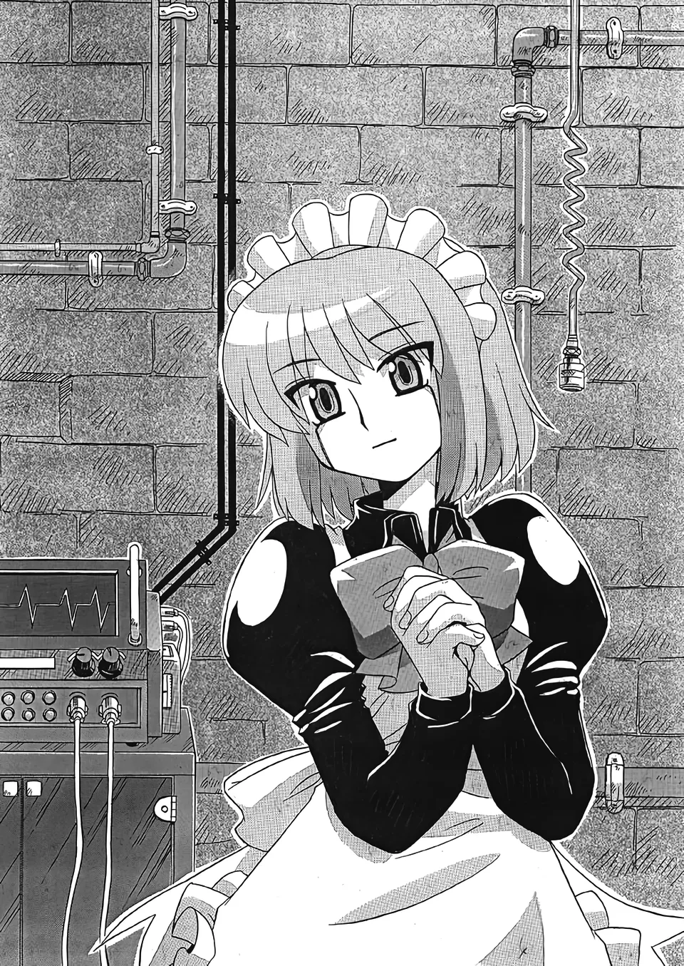 [Uni Laboratory] Mecha Hisui ga Ichiban Hoshii Gohoubi | What Mecha Hisui Wants the Most (Tsukihime) [English] [ianuela]