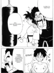 Videl Web Comic (Dragonball) (VGT13) (English)