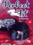 Perfect Fit porn comic