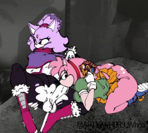 Amy Rose & Blaze the Cat Sonic Rule 34 GIF – Blowjob