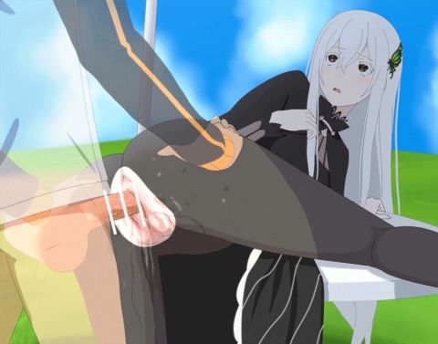 Echidna Re:zero Kara Hajimeru Isekai Seikatsu Rule 34 GIF – Sex