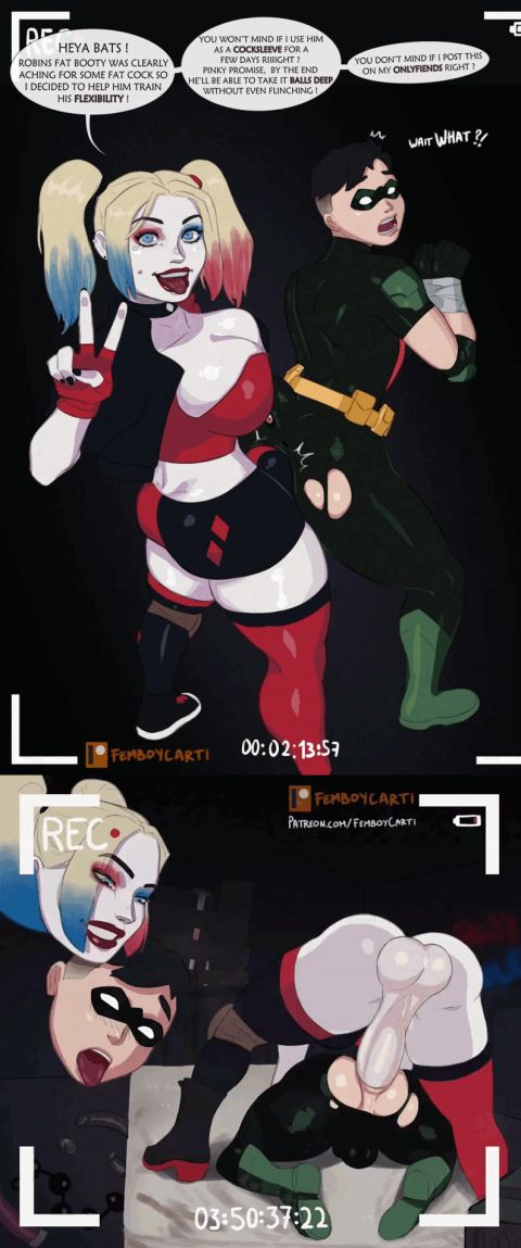 Harley Quinn & Robin Batman Rule 34 GIF – Anal Hentai