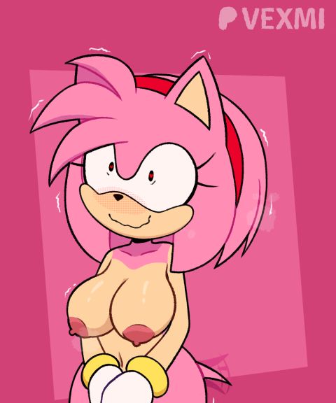 Amy Rose Sonic Rule 34 GIF – Furry by Vexmi